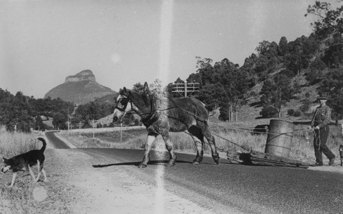 horsedrawn sledge